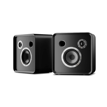 EverSolo SE100