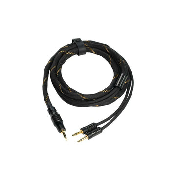 FiiO LL-RC 2025